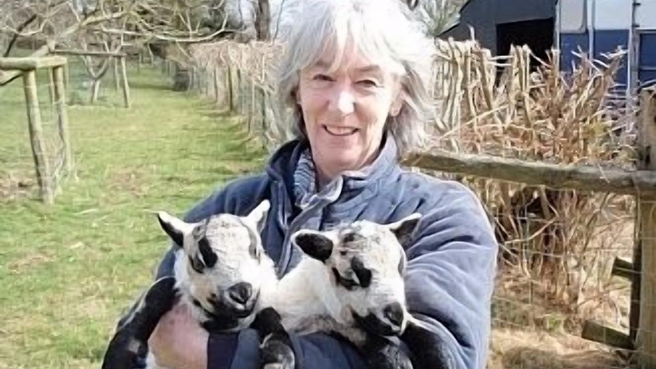 Photo of Outdoor in Huntington