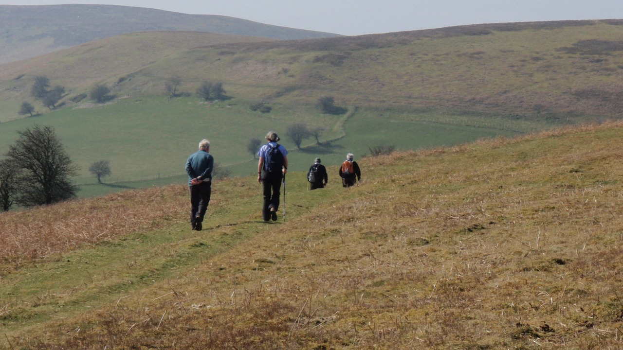 Photo of Others in Huntington