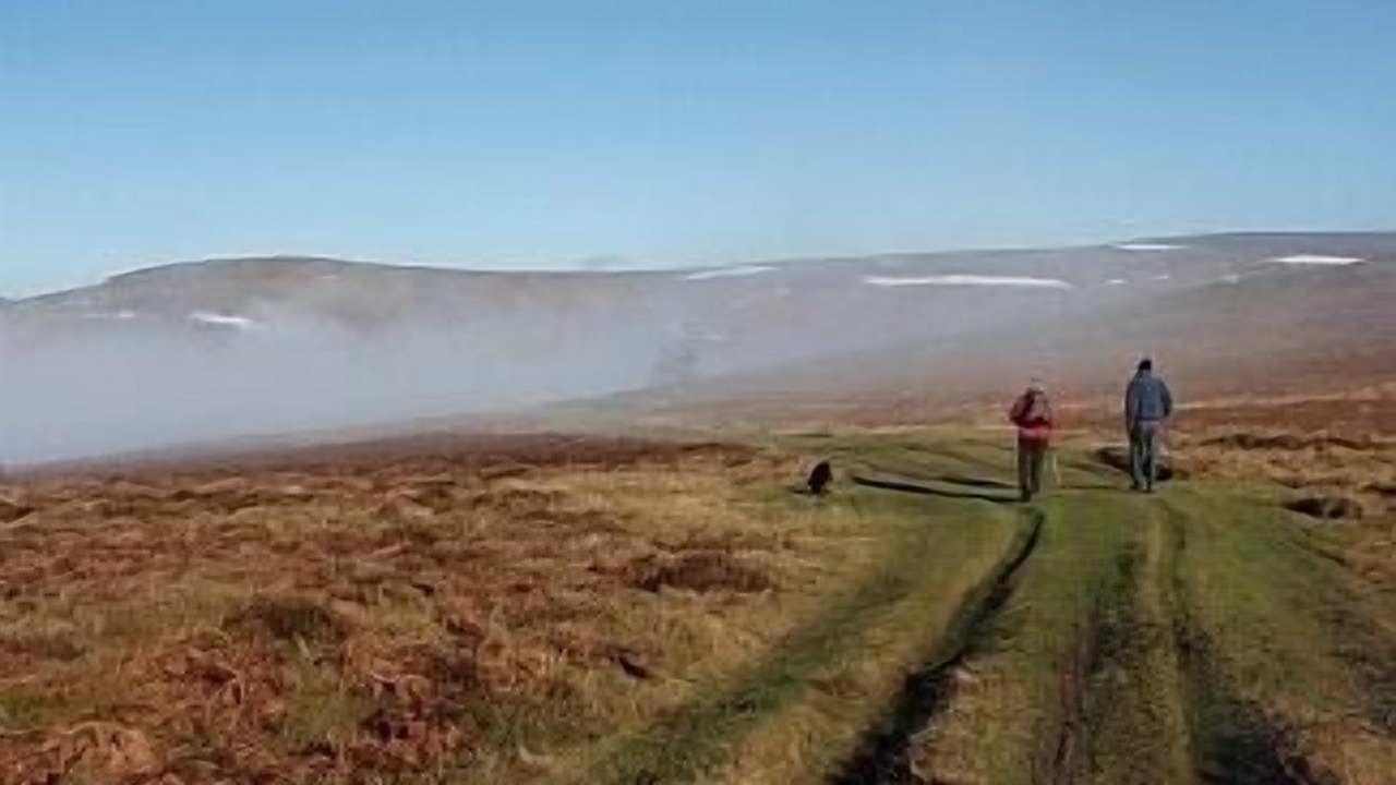 Photo of Others in Huntington