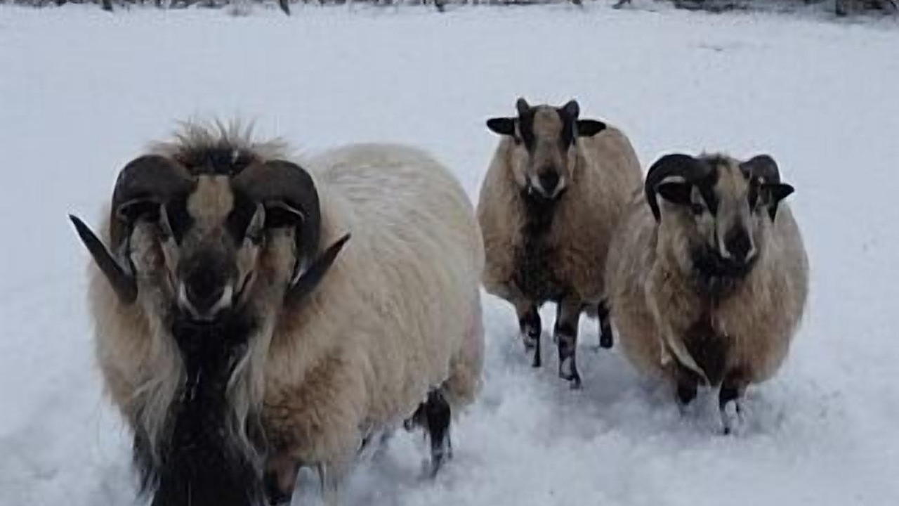 Photo of Others in Huntington