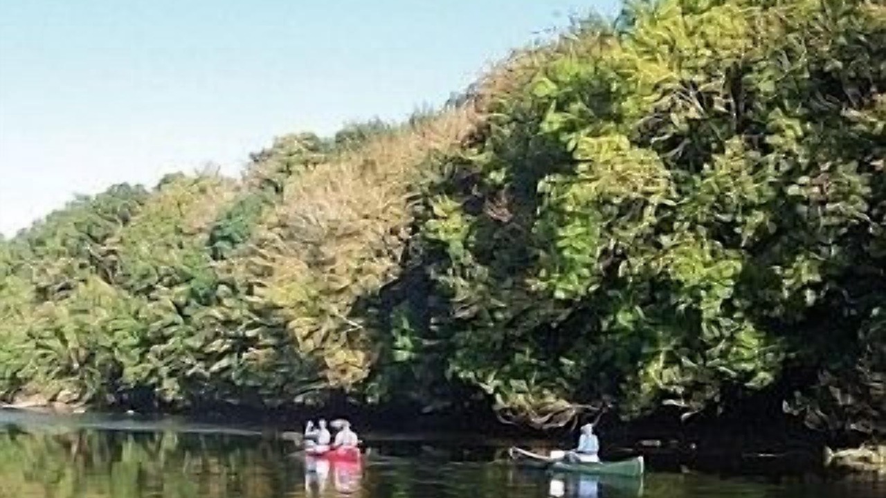 Photo of Outdoor in Huntington