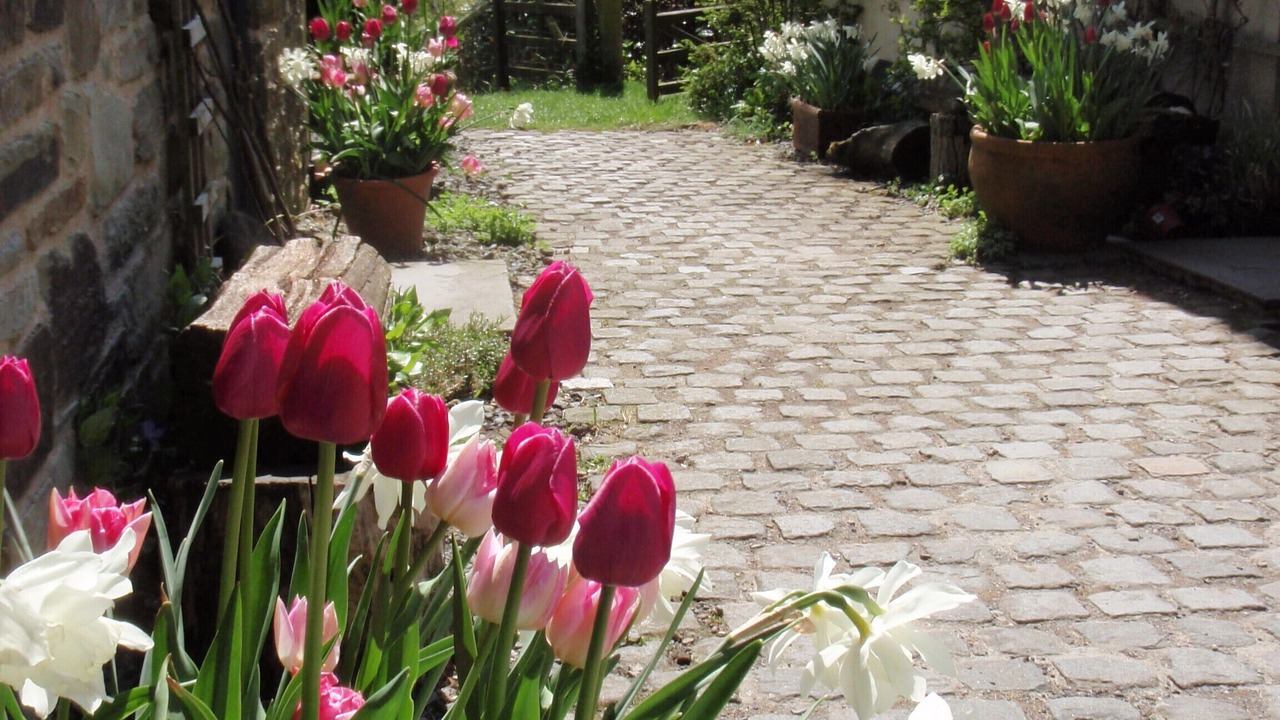 Photo of Outdoor in Huntington