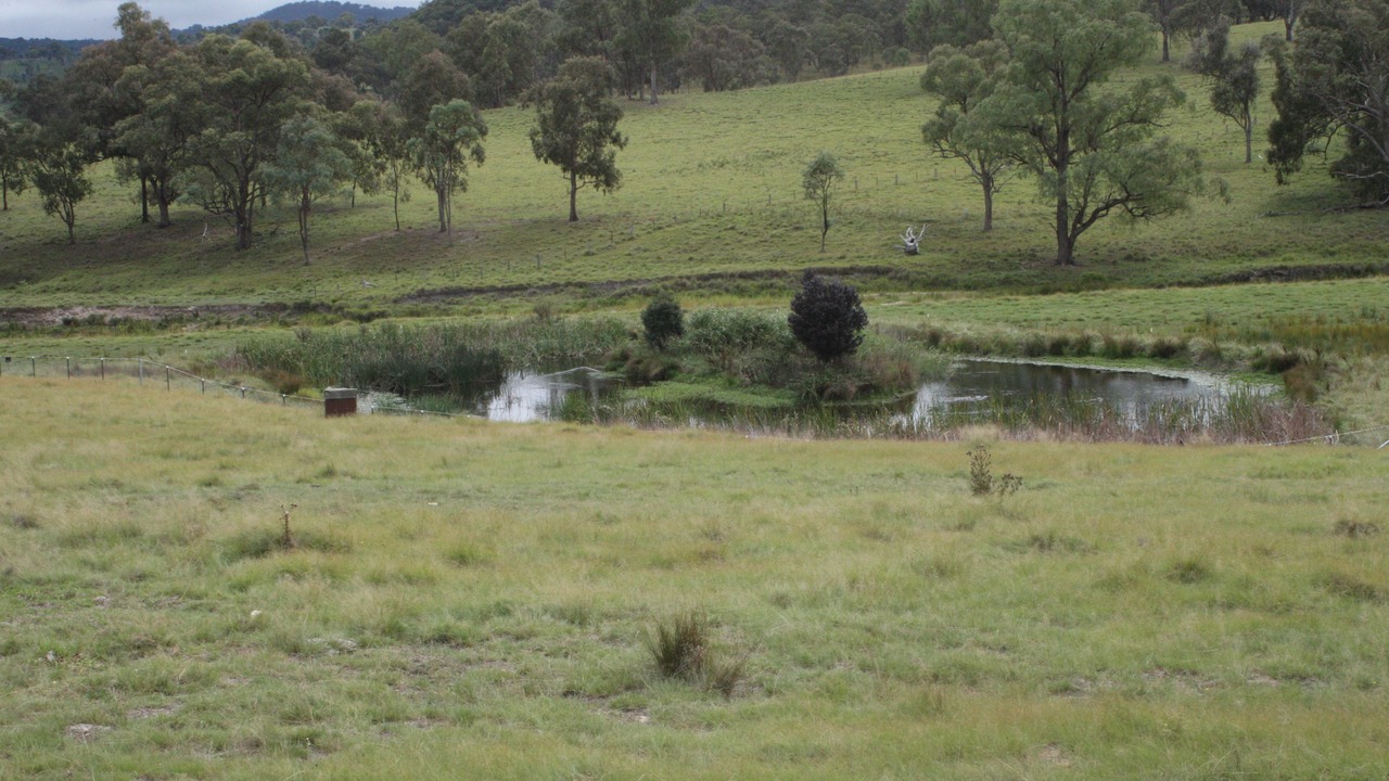 Photo of Outdoor in Sandy Flat