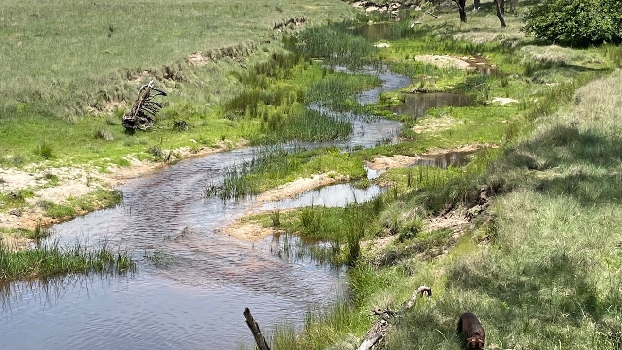 Photo of Outdoor in Sandy Flat