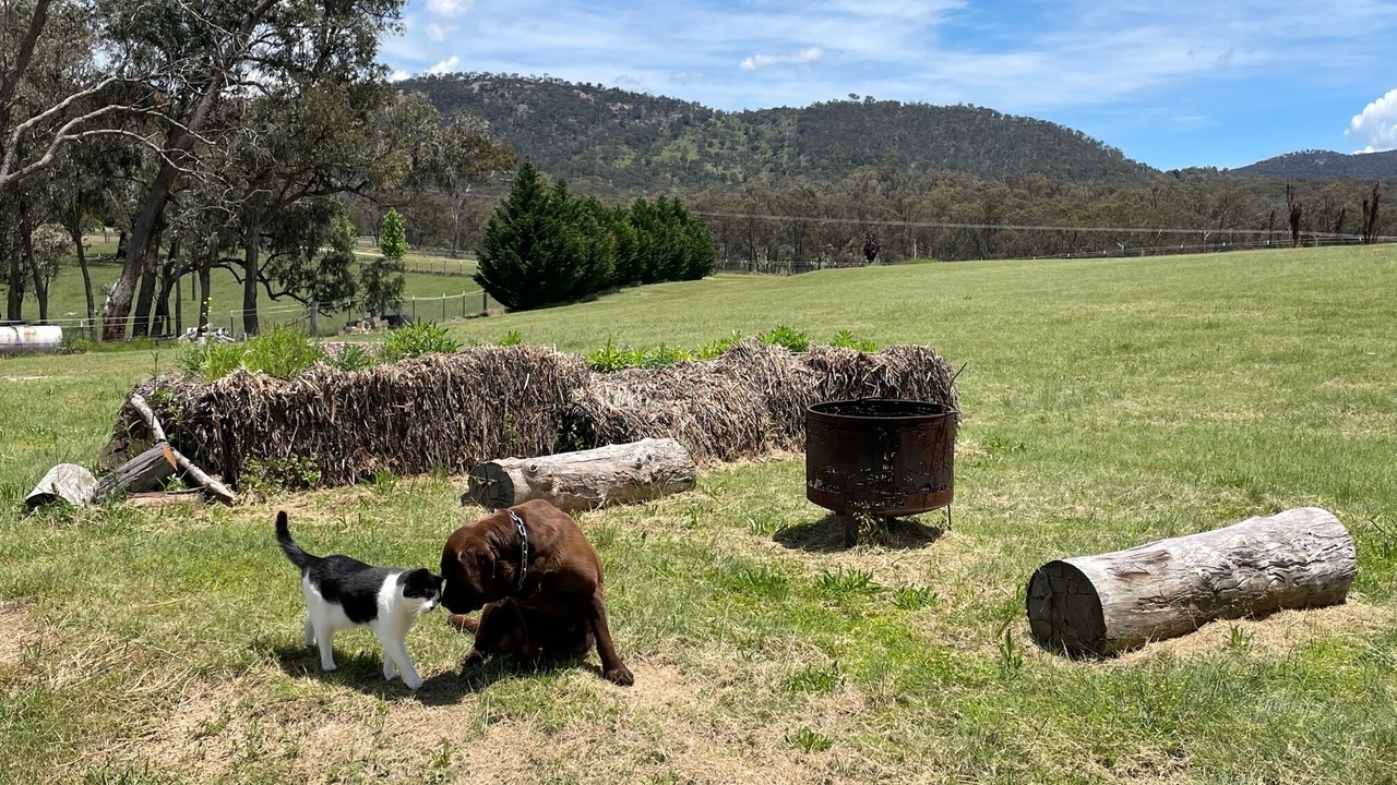 Photo of Outdoor in Sandy Flat
