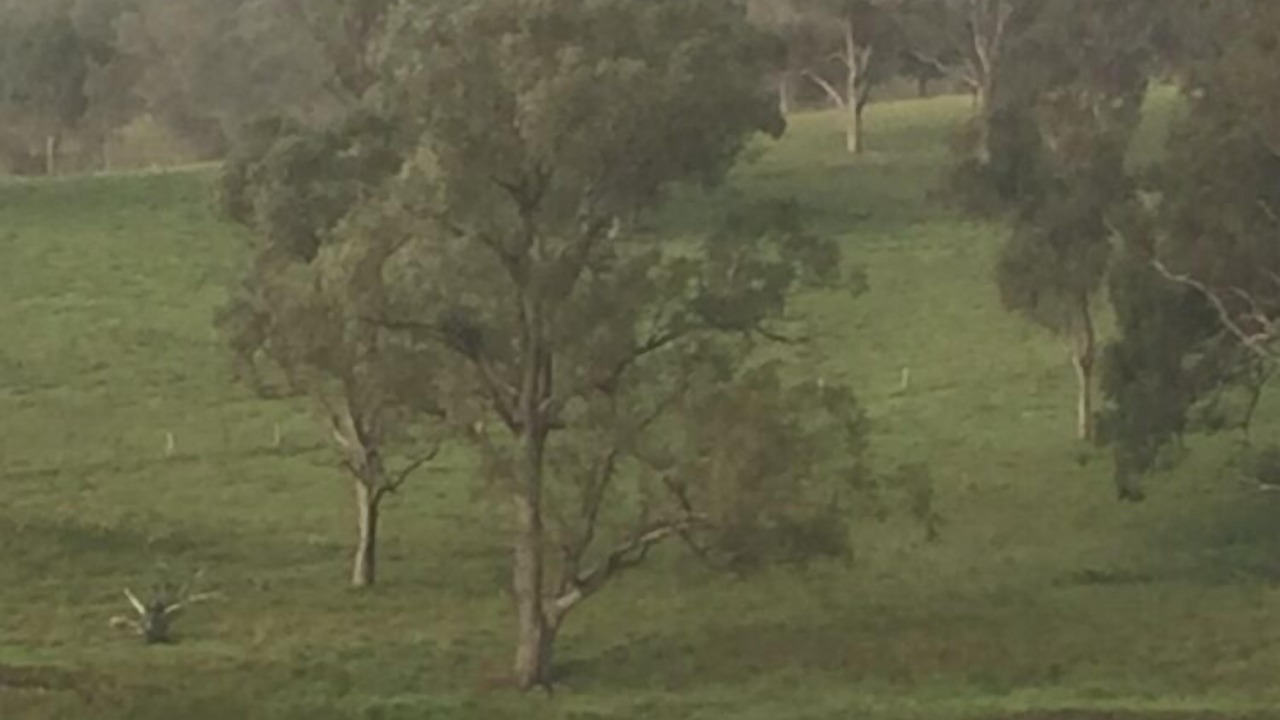 Photo of Outdoor in Sandy Flat