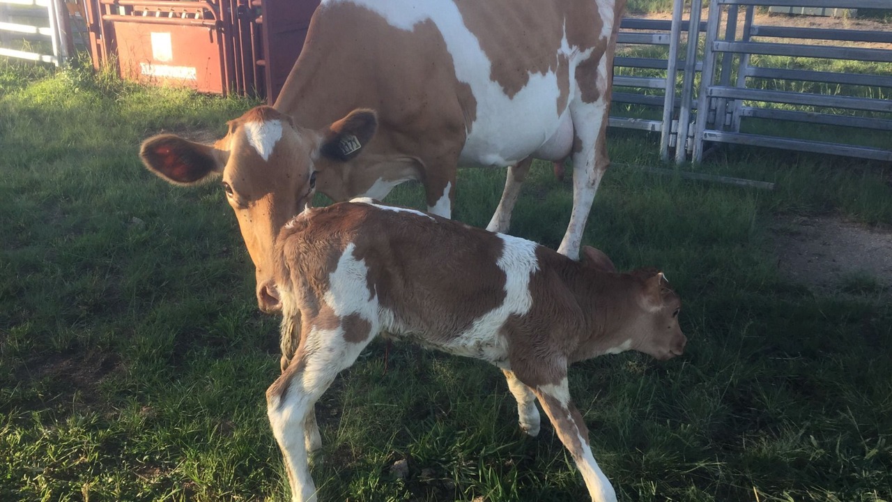 Photo of Outdoor in Sandy Flat