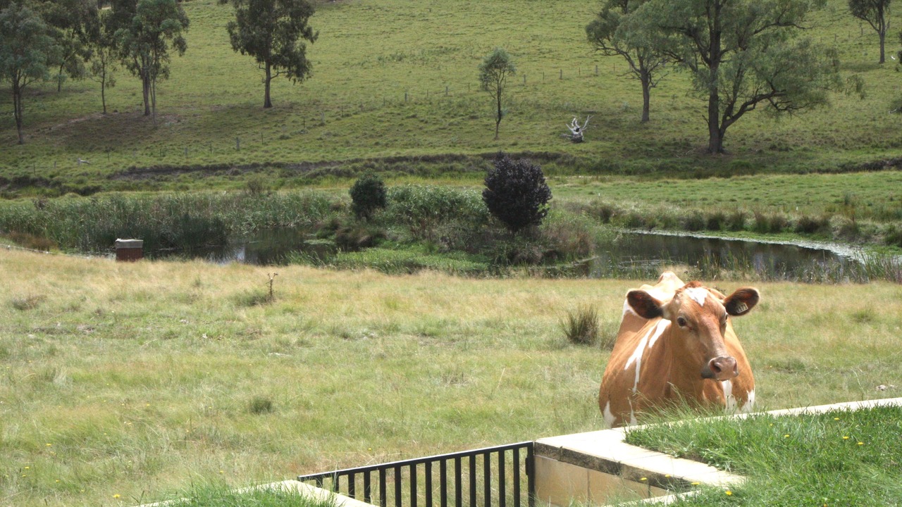 Photo of Outdoor in Sandy Flat