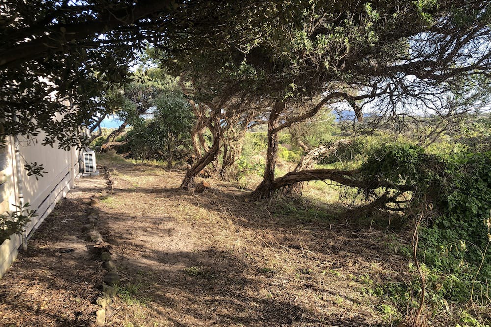 Photo of Outdoor in Cape Bridgewater