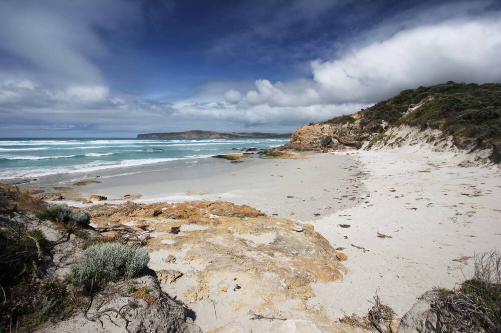 Photo of Others in Cape Bridgewater