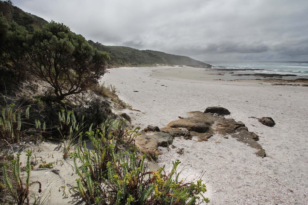 Photo of Others in Cape Bridgewater