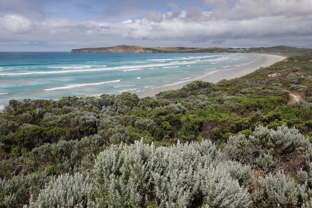 Photo of Others in Cape Bridgewater