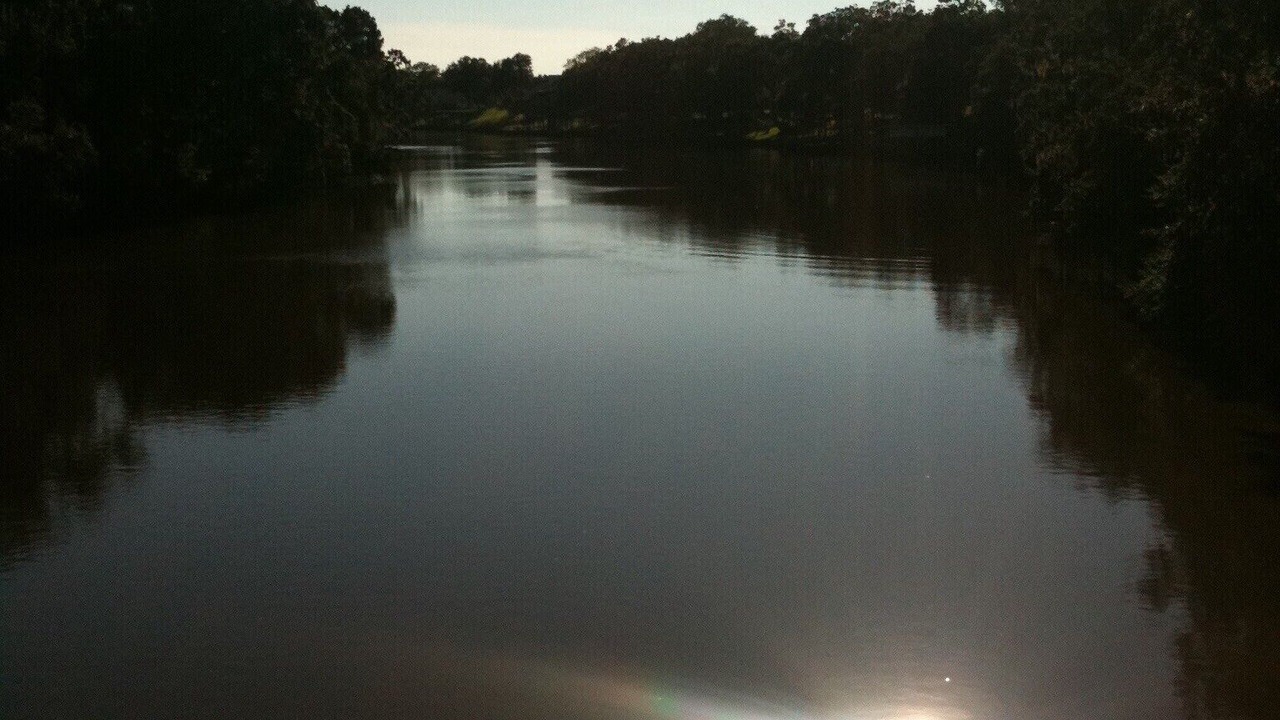 Photo of Others in Brazoria