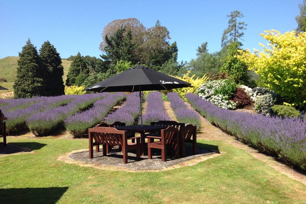 Photo of Outdoor in Manunui