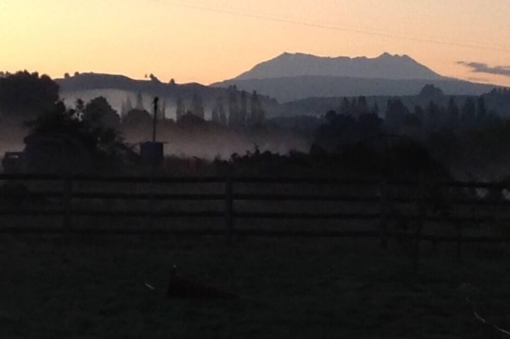 Photo of Others in Manunui