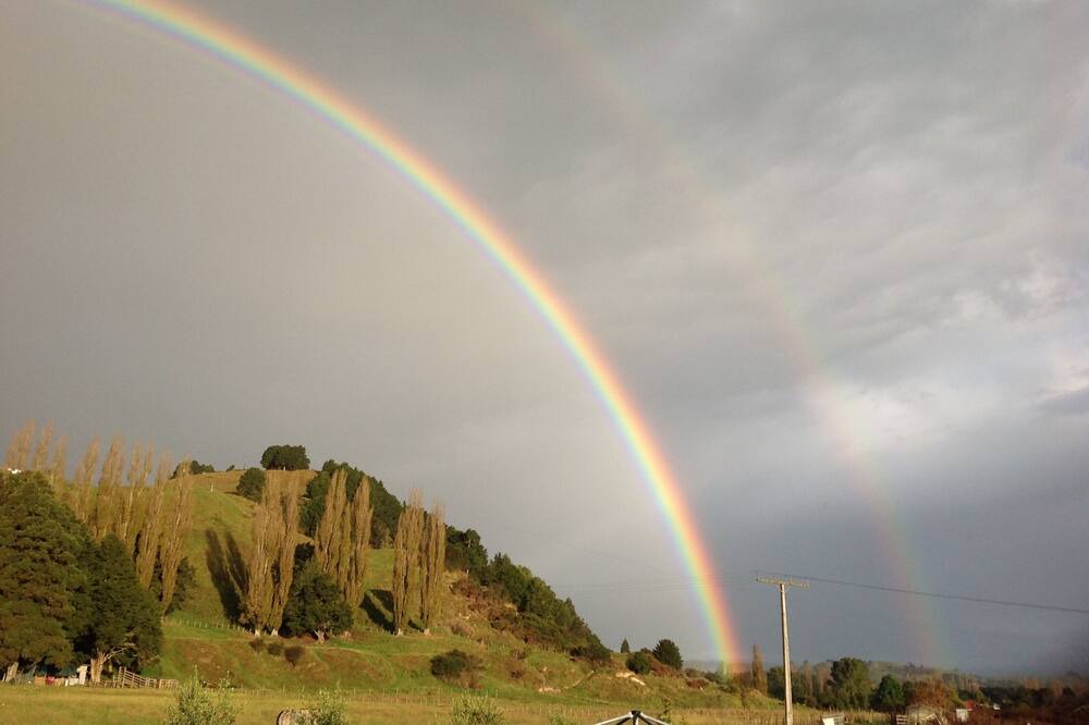 Photo of Others in Manunui