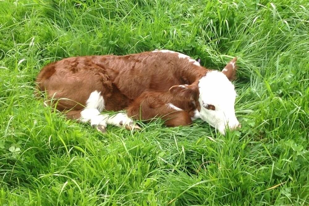 Photo of Others in Manunui