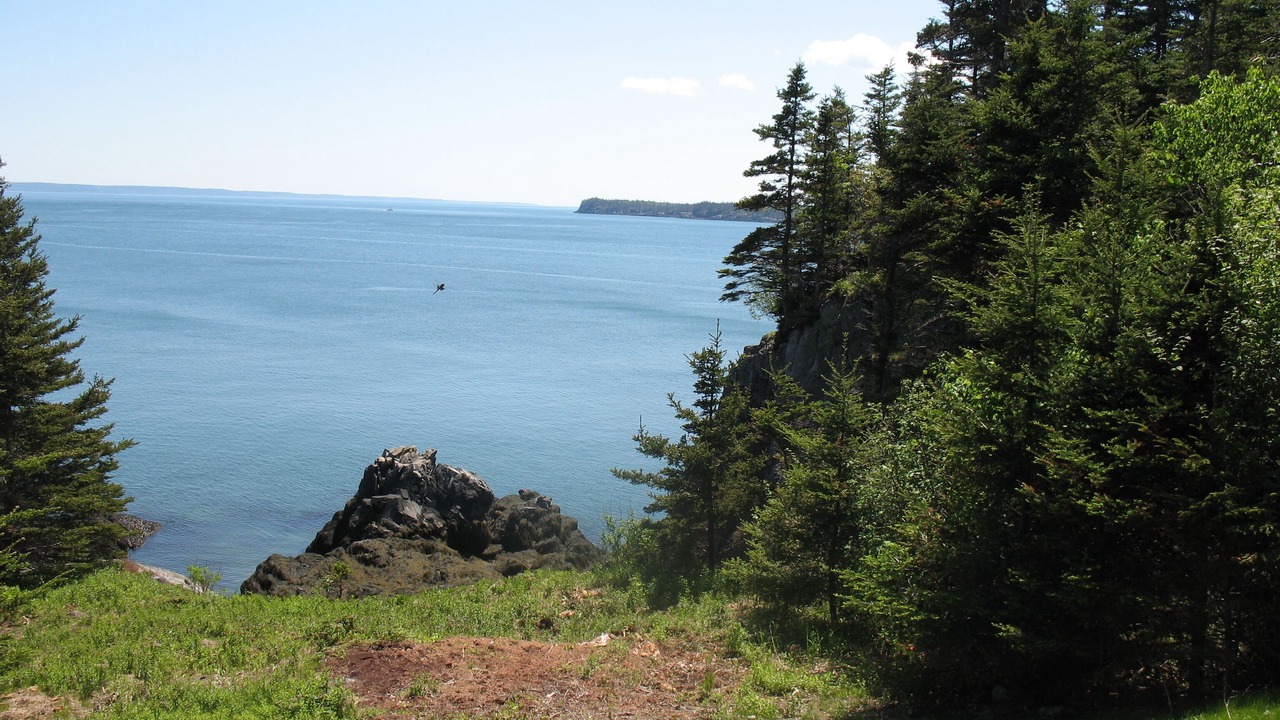 Photo of Others in Campobello Island