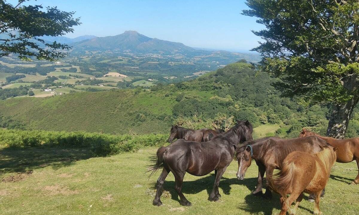 Photo of Outdoor in Souraide