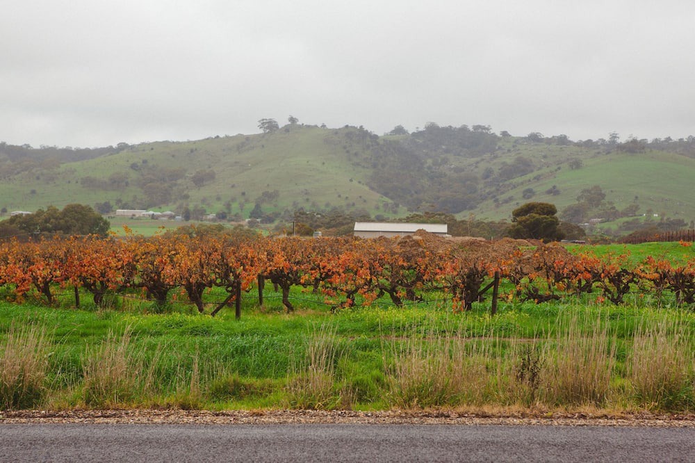 Photo of Outdoor in Bethany