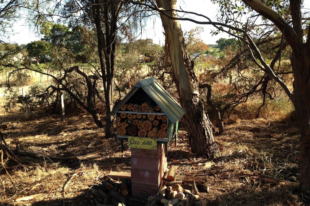 Photo of Others in Bethany