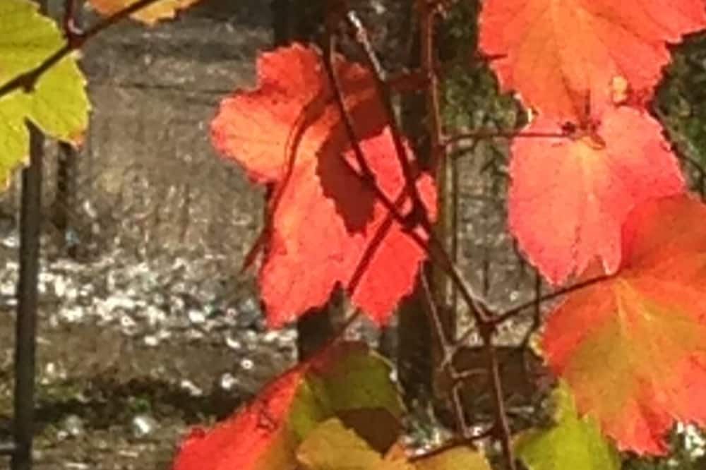 Photo of Outdoor in Bethany