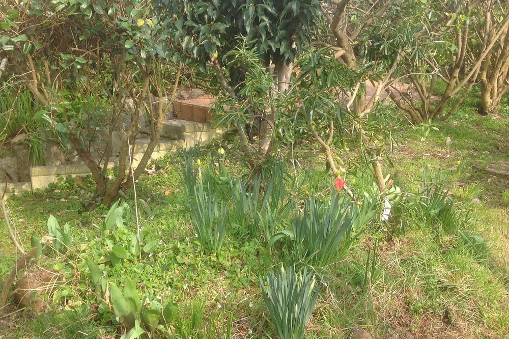 Photo of Outdoor in Dinard