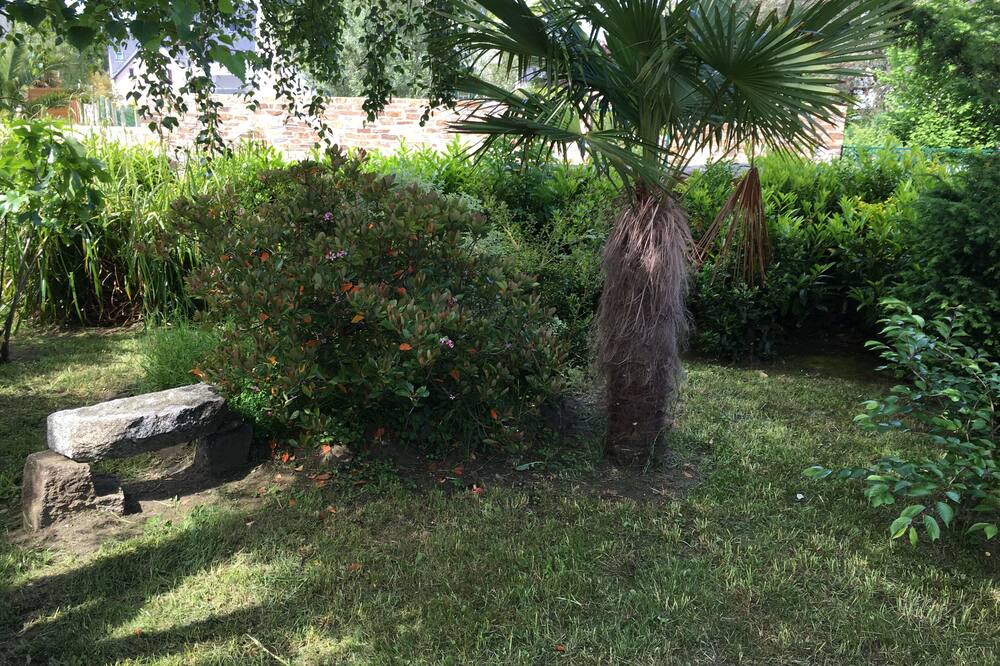 Photo of Outdoor in Dinard