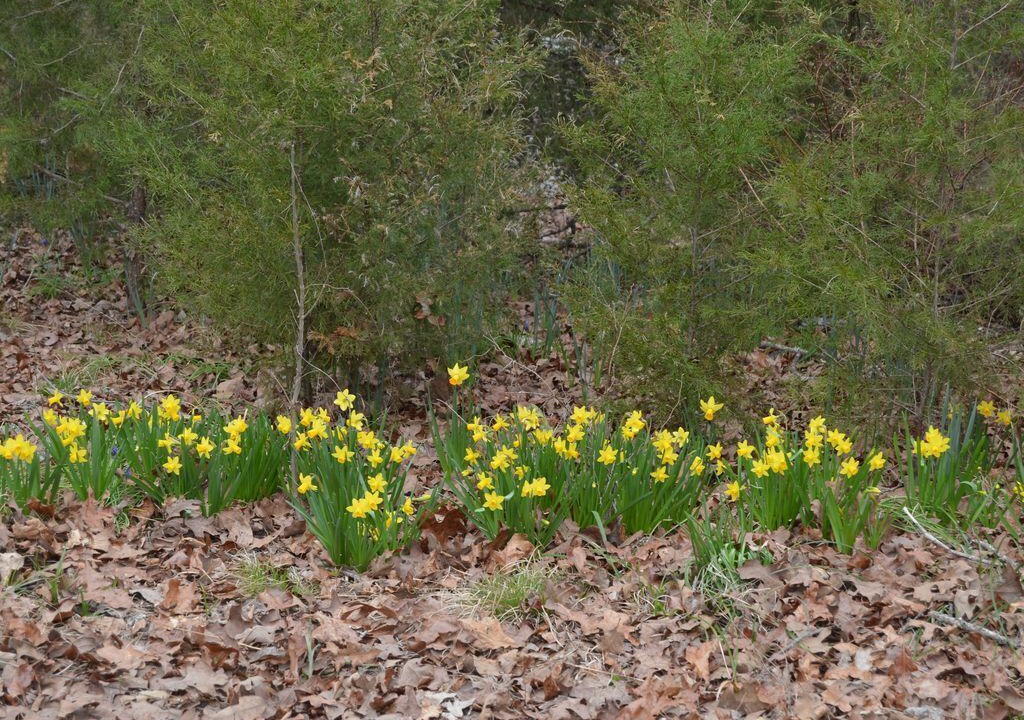 Photo of Outdoor in Canton