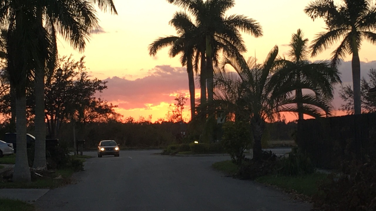 Photo of Outdoor in Ludlam