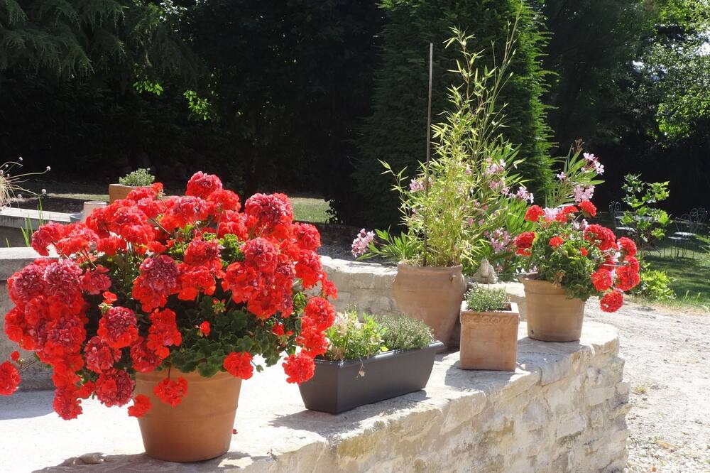 Photo of Outdoor in Allex