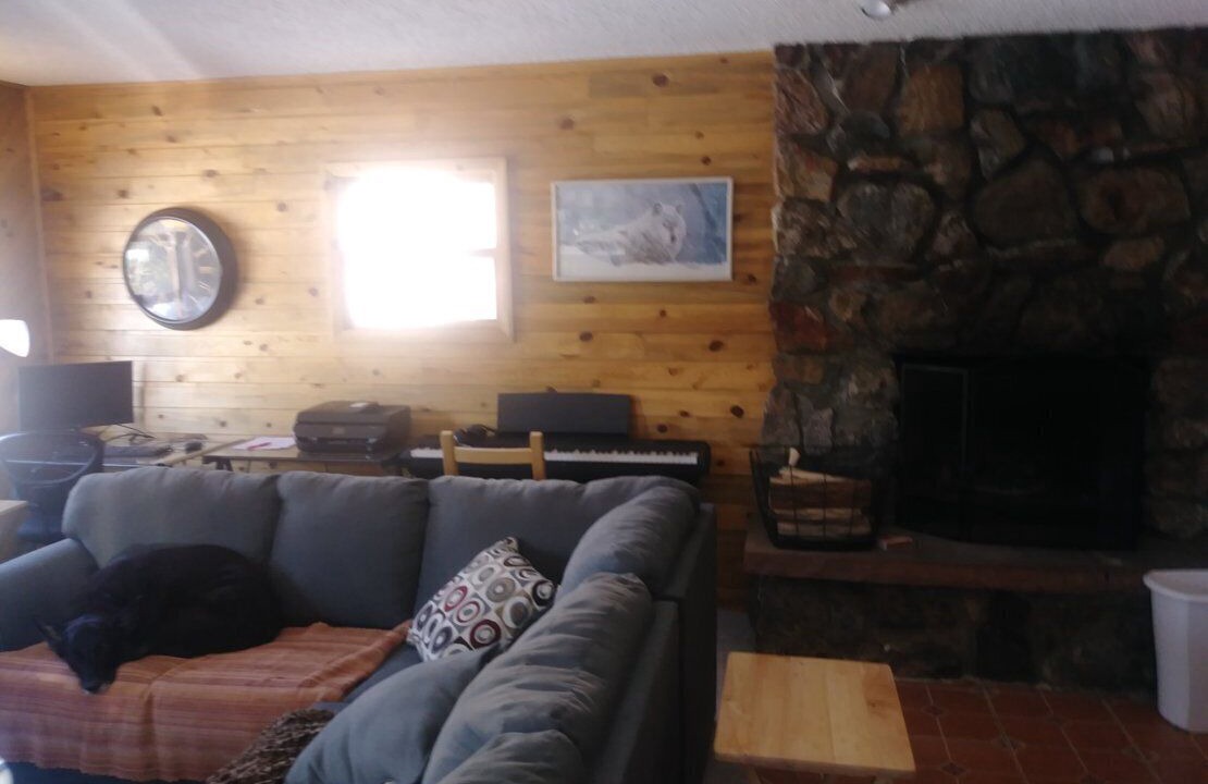 Photo of Livingroom in Ptarmigan Mountain
