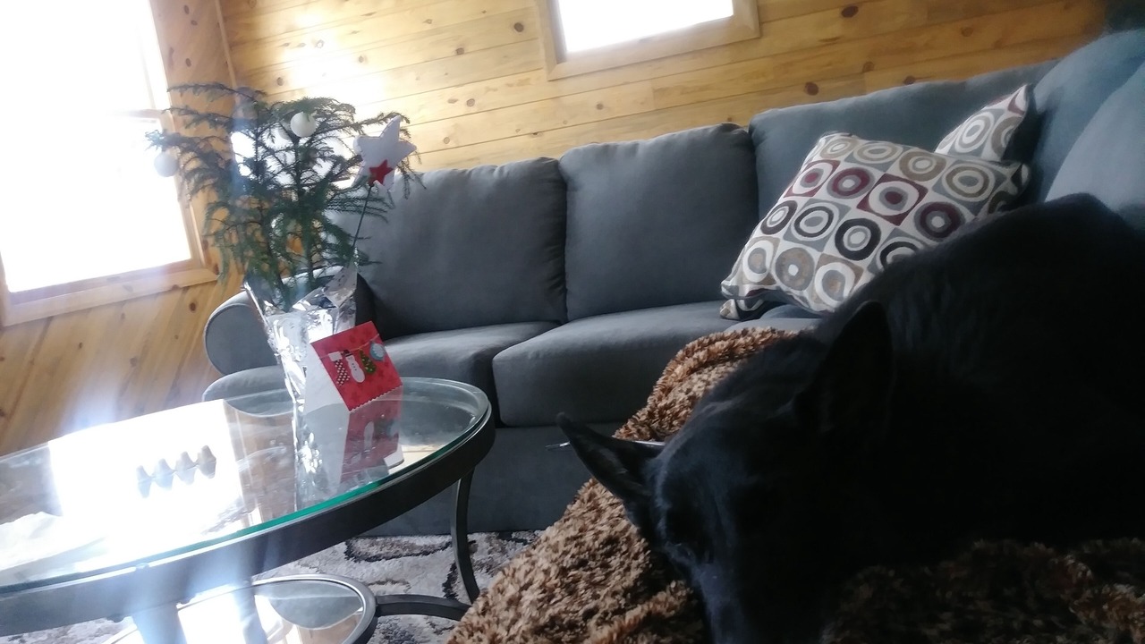 Photo of Livingroom in Ptarmigan Mountain
