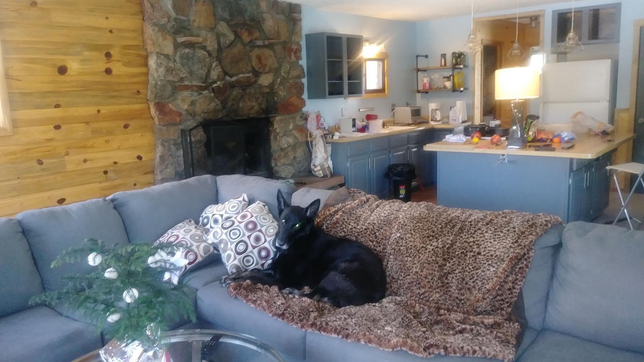 Photo of Livingroom in Ptarmigan Mountain