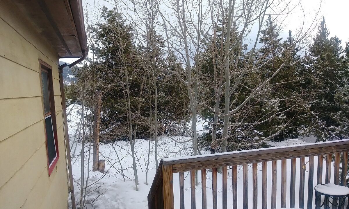 Photo of Outdoor in Ptarmigan Mountain