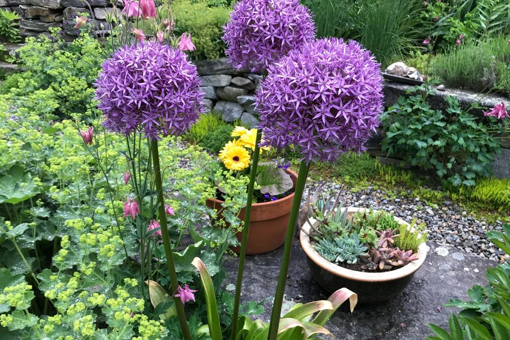 Photo of Outdoor in Round Pond