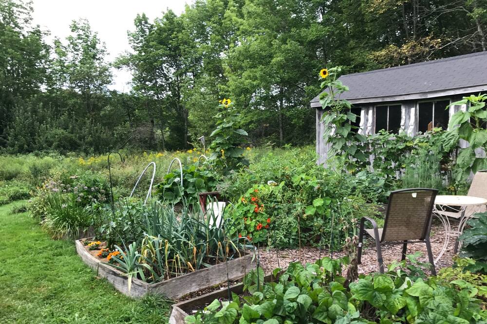Photo of Outdoor in Round Pond