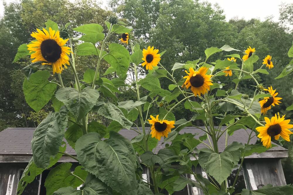 Photo of Outdoor in Round Pond