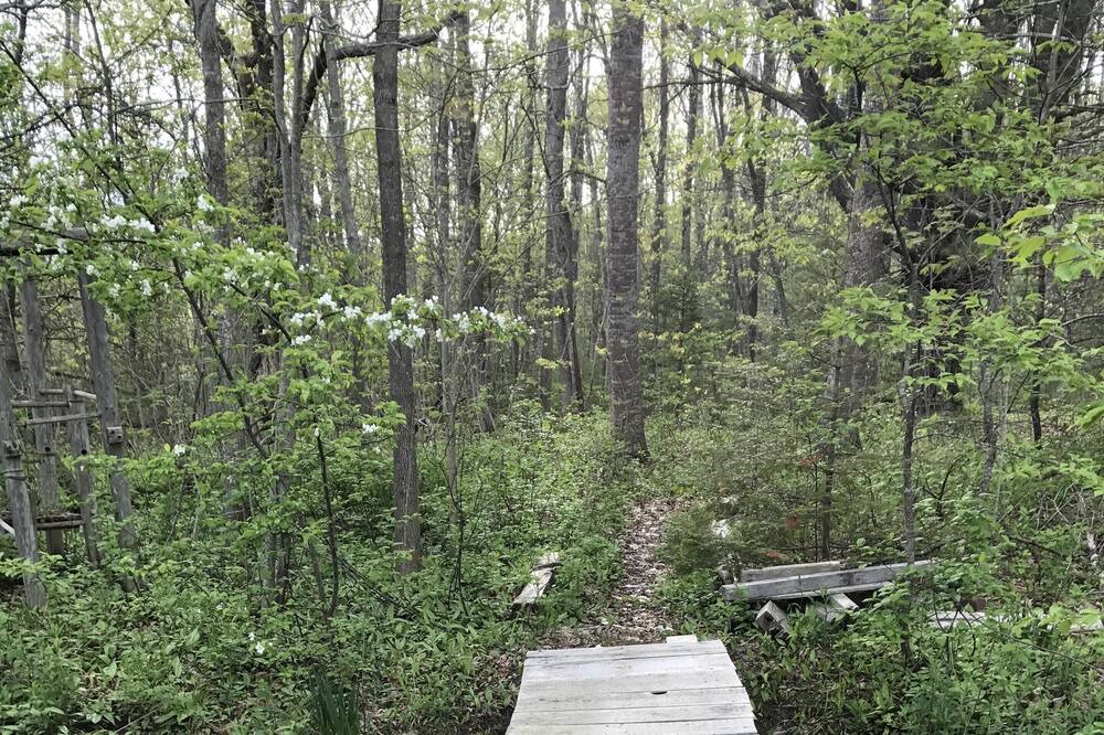 Photo of Outdoor in Round Pond
