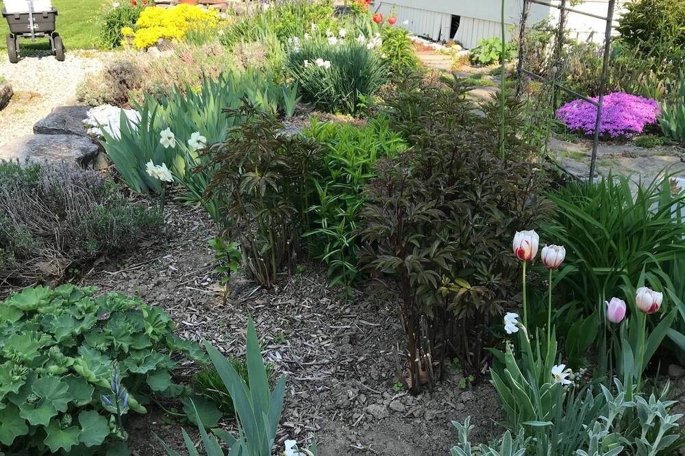 Photo of Outdoor in Round Pond