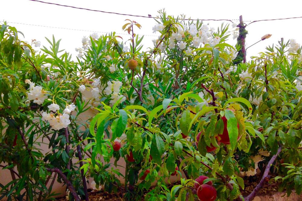 Photo of Outdoor in Pratdip
