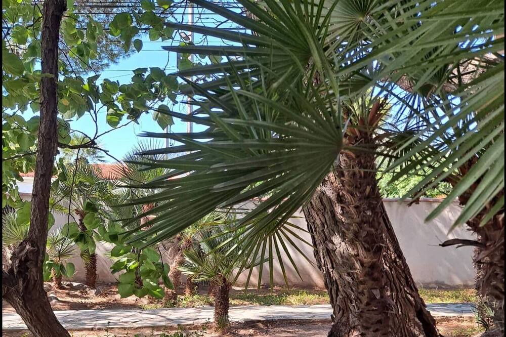 Photo of Outdoor in Pratdip