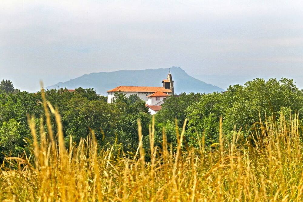 Photo of Others in Arbonne