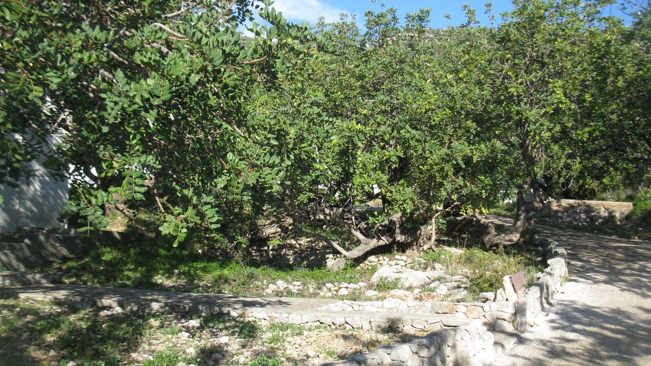 Photo of Outdoor in Komiza