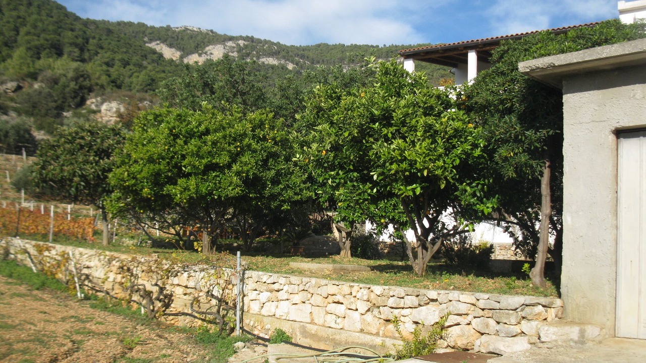 Photo of Outdoor in Komiza