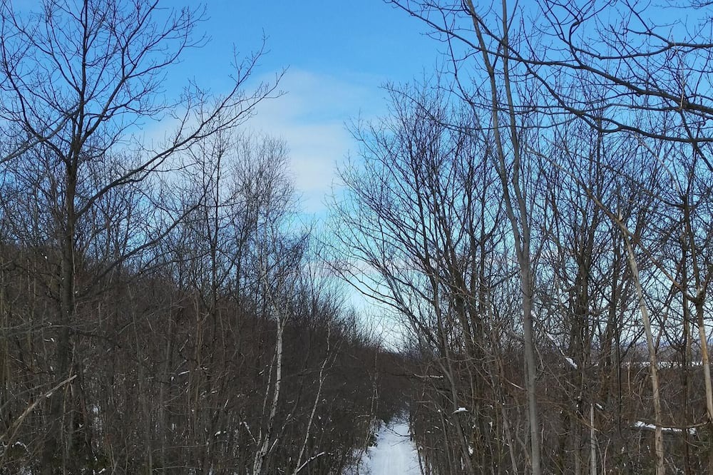 Photo of Others in Tunkhannock Township