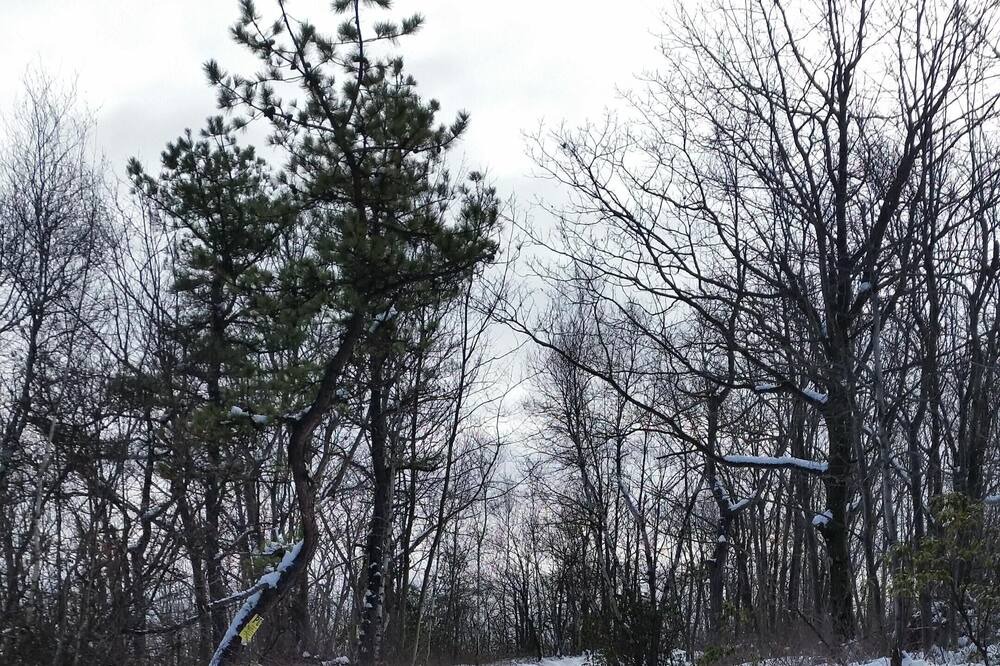 Photo of Others in Tunkhannock Township