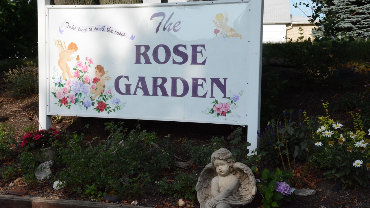 Photo of Outdoor in Lackawanna