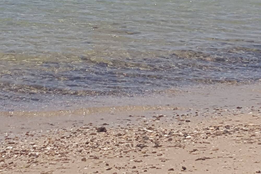 Photo of Others in Indented Head