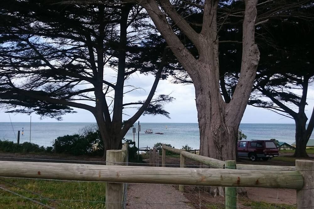 Photo of Others in Indented Head